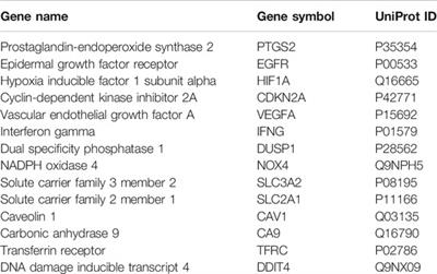 Network Pharmacology Identifies Therapeutic Targets and the Mechanisms of Glutathione Action in Ferroptosis Occurring in Oral Cancer